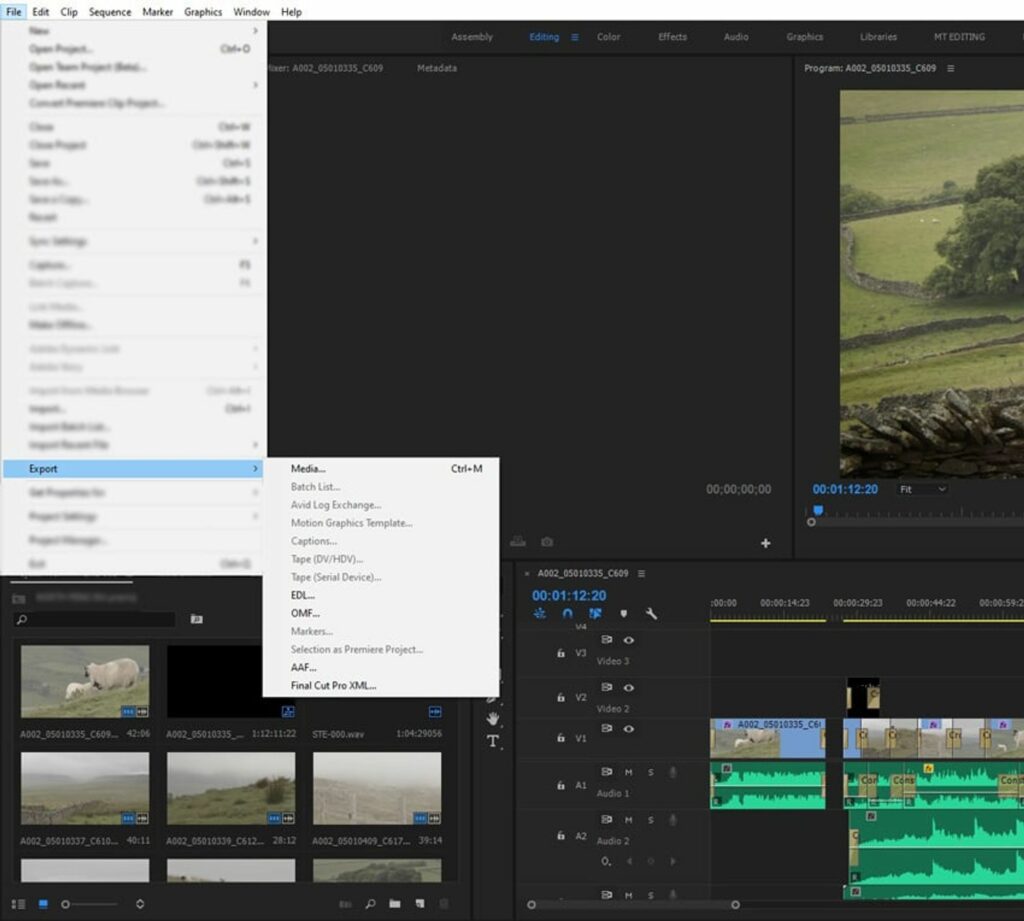 How to Export Premiere Pro Projects to DaVinci Resolve for Color ...